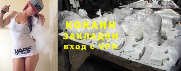дживик Пересвет