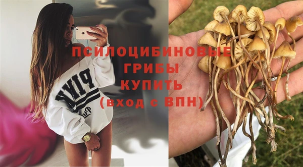 дживик Пересвет