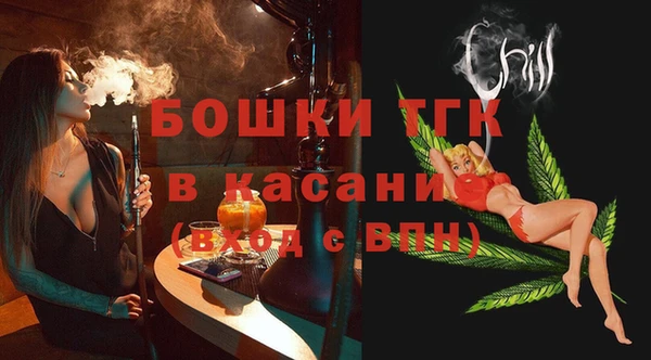 дживик Пересвет