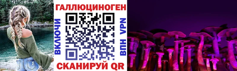 Псилоцибиновые грибы мицелий  наркотики  Великий Устюг 