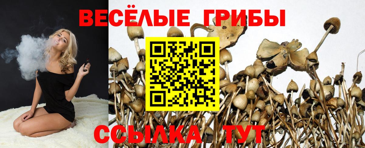 Галлюциногенные грибы ЛСД  Вход с VPN  Псилоцибиновые грибы Psilocybe  Великий Устюг 