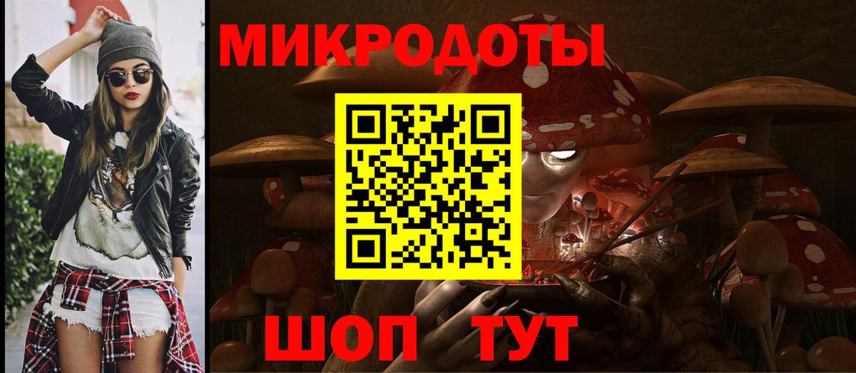 Псилоцибиновые грибы мицелий Великий Устюг